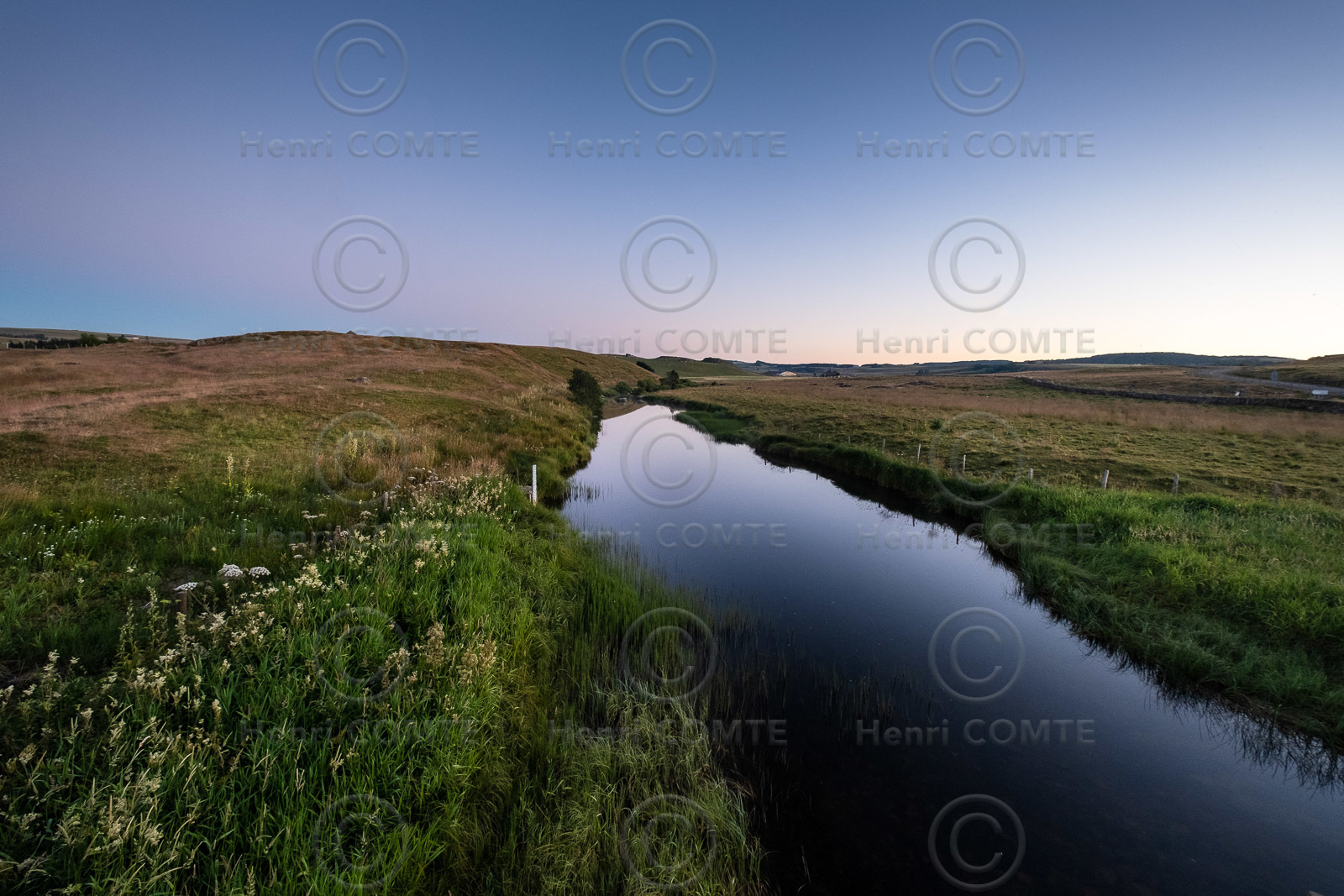 Aubrac
