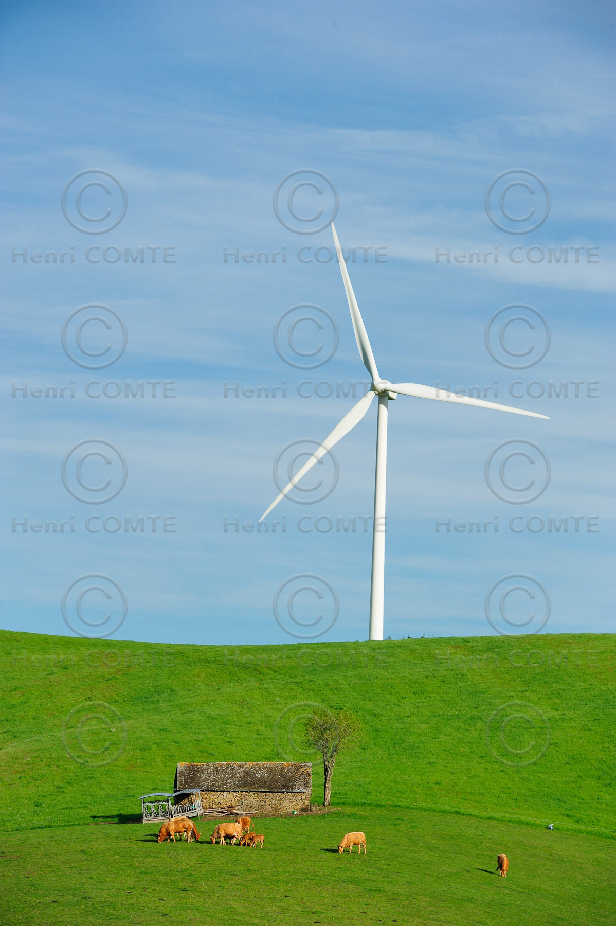 Eolienne