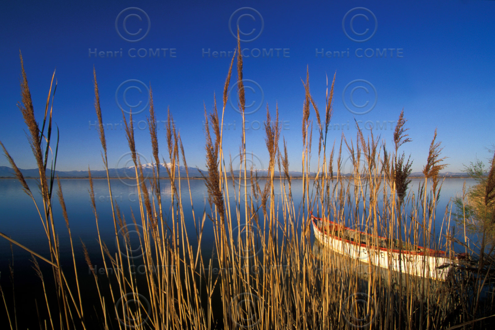 Etang de Canet