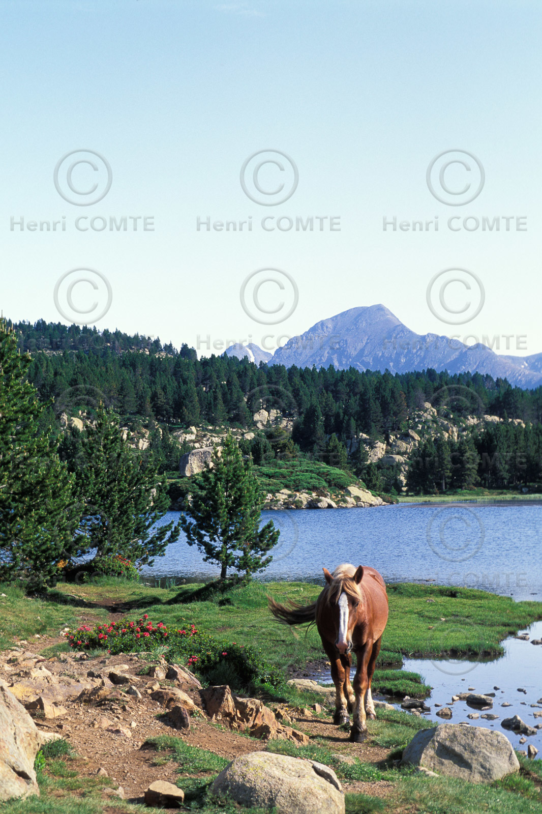 Etang du Carlit
