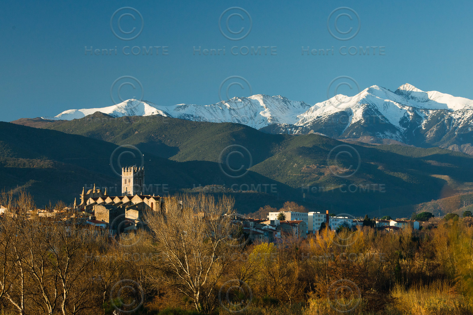 Ille sur Tet