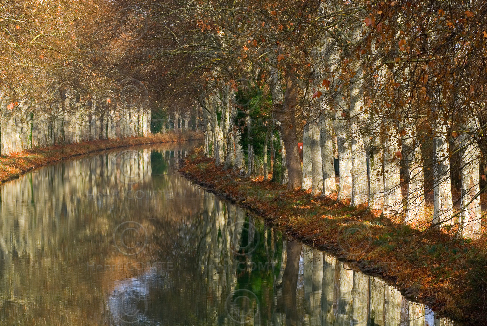 Le canal du Midi