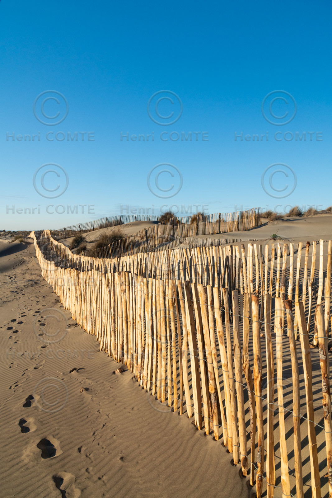 Gannivelles