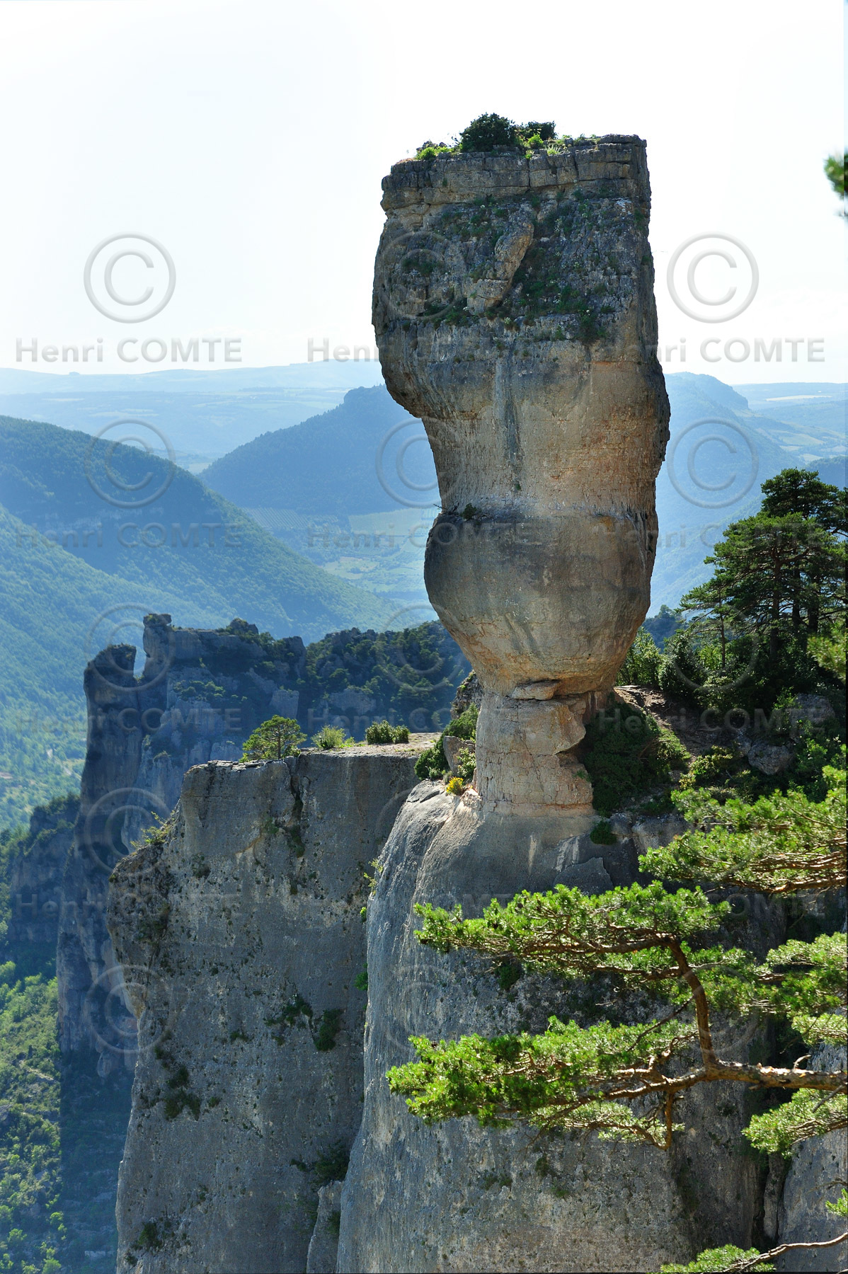 Gorges de la Jonte