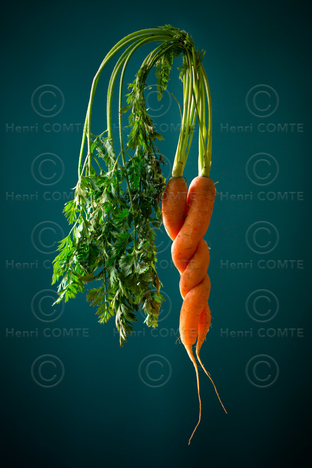 Carottes