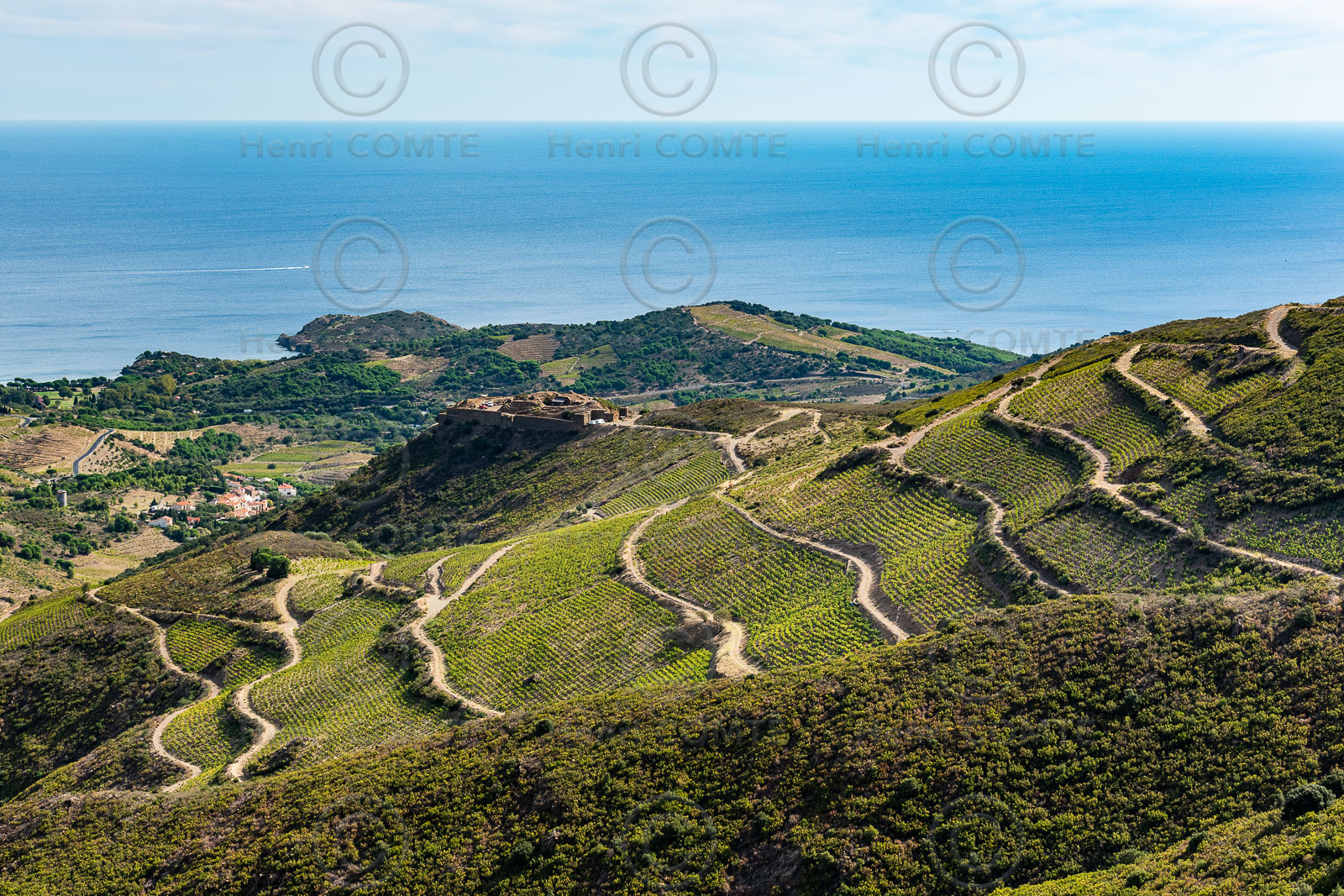 Vignoble Banyuls