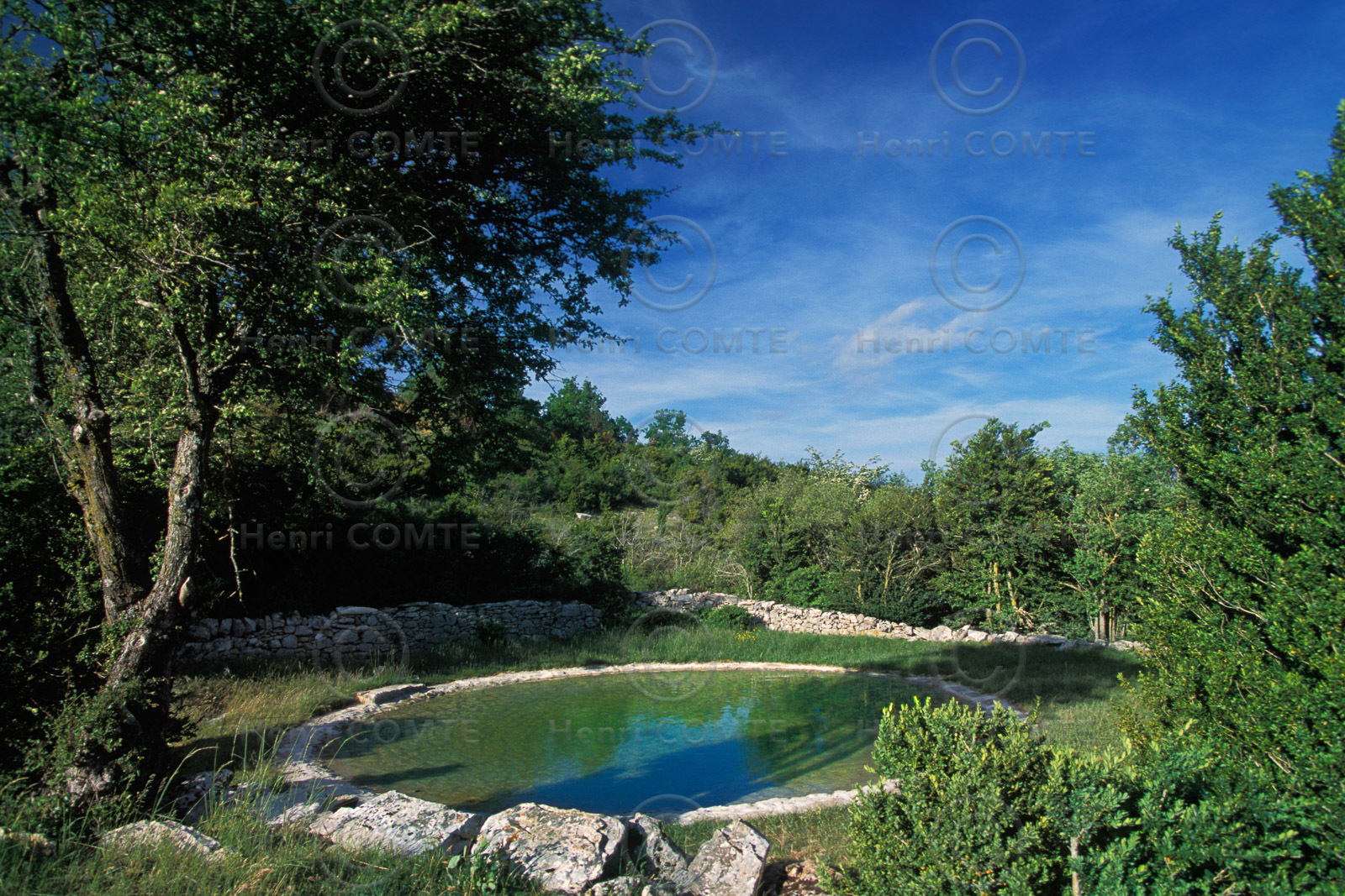 Causse du Larzac