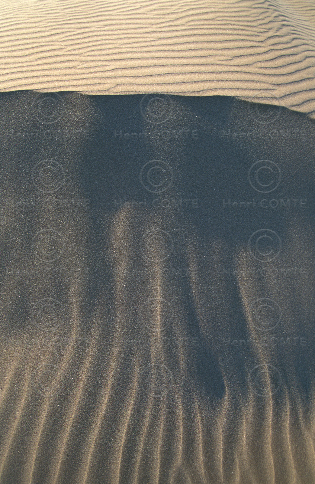 Dune