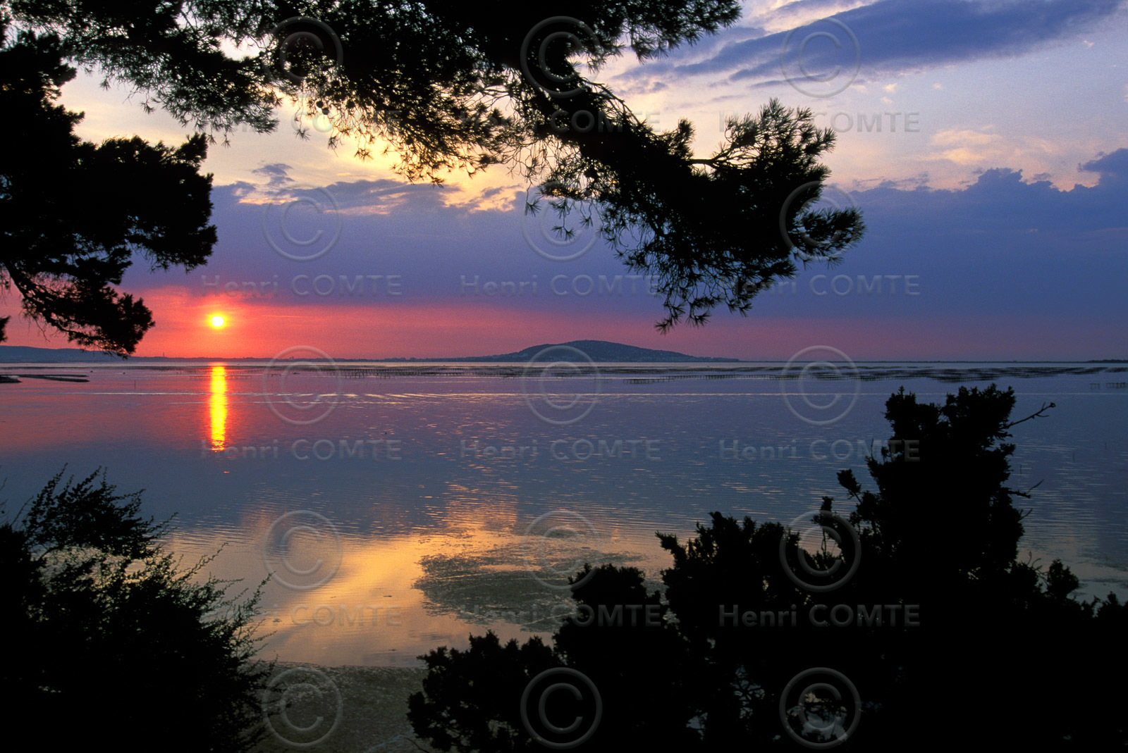 Etang de Thau