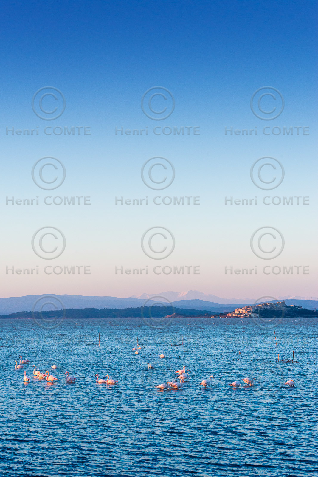 Etang de Bages