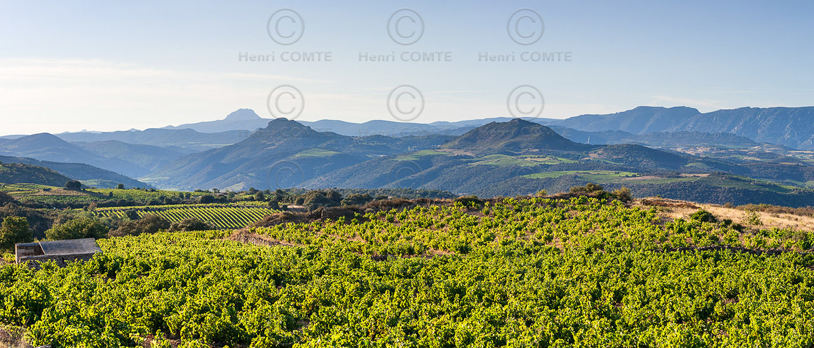 Vignoble Caramany