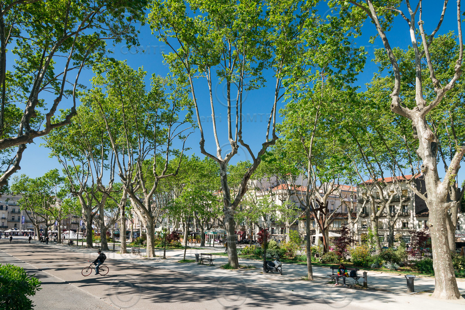 Montpellier