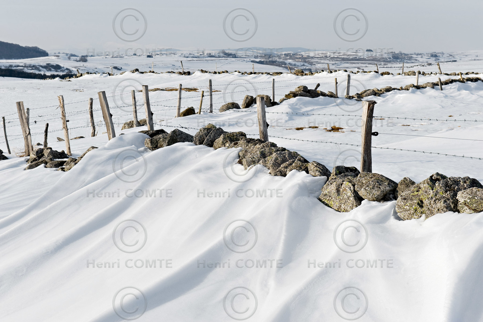 Aubrac
