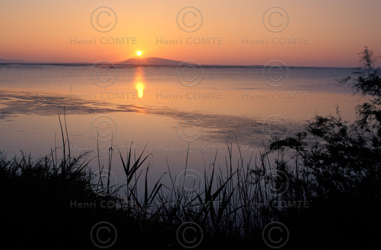 Etang de Thau