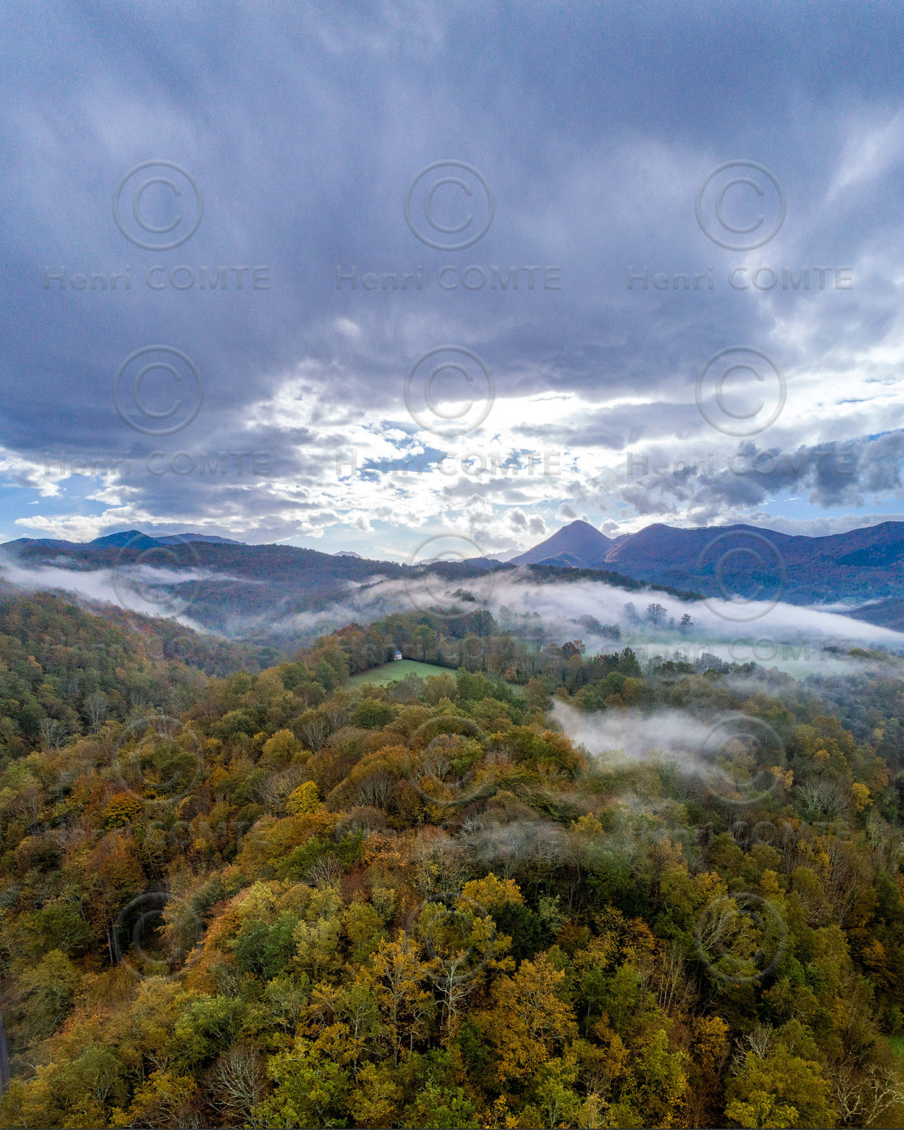 Foret en ariège