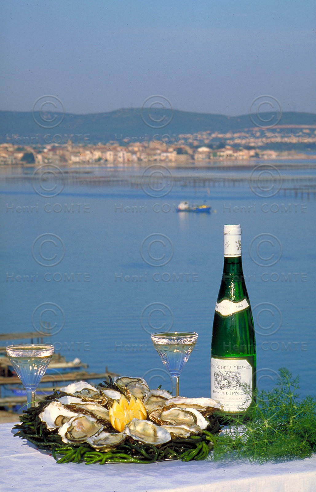 Huitres de Bouzigues