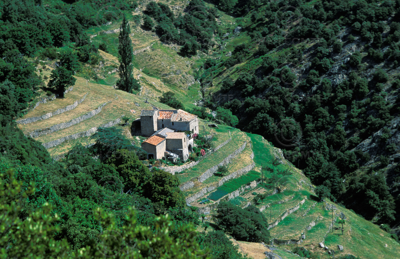 Ferme cevenole
