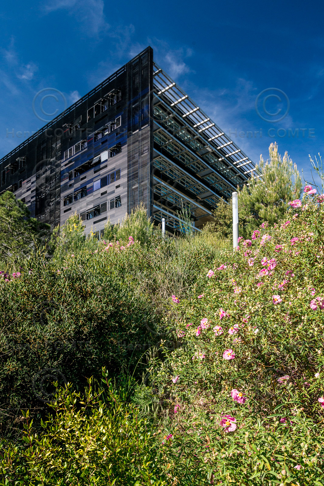 Montpellier