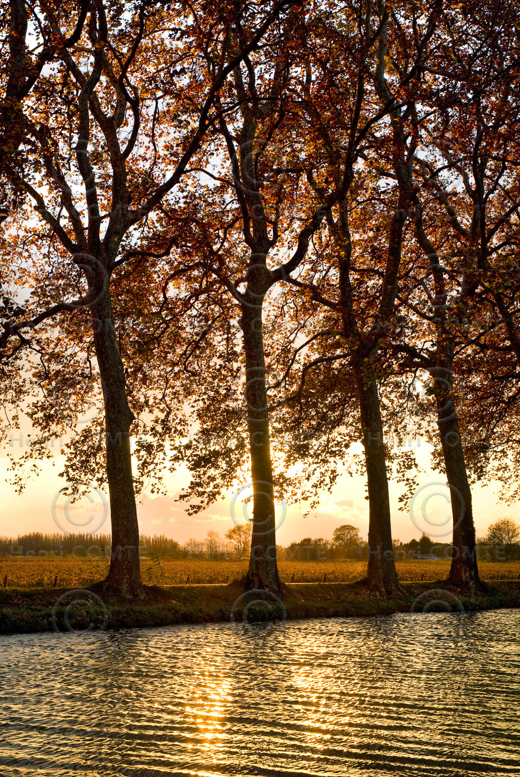 Le canal du Midi
