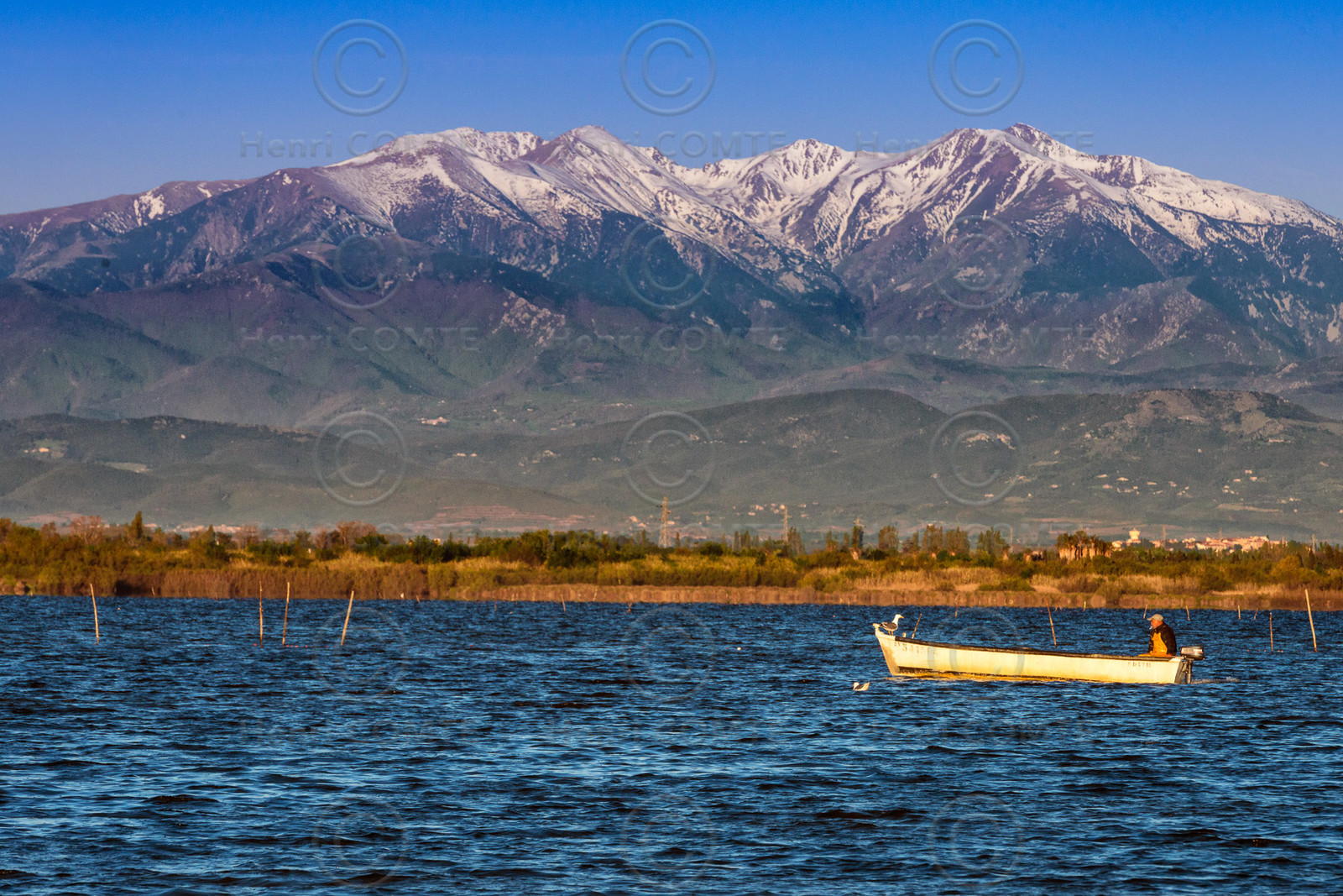 Etang de Canet