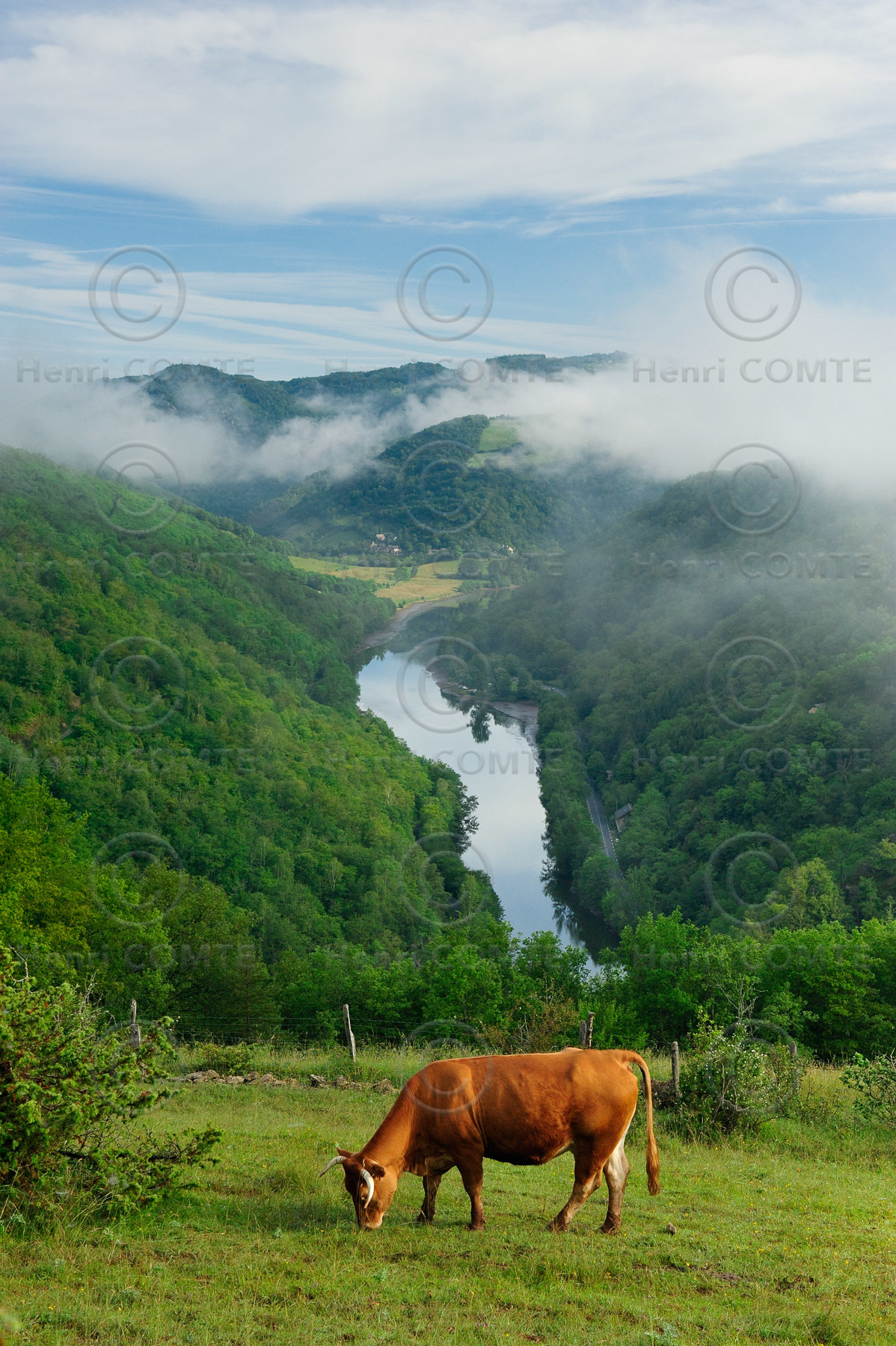 Vallée du Lot