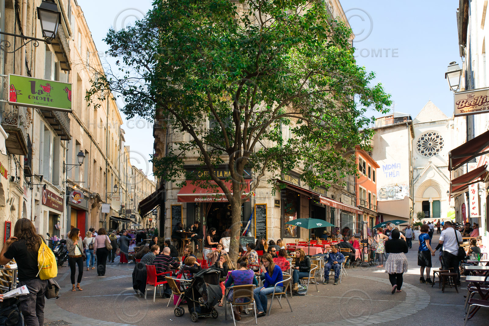 Montpellier