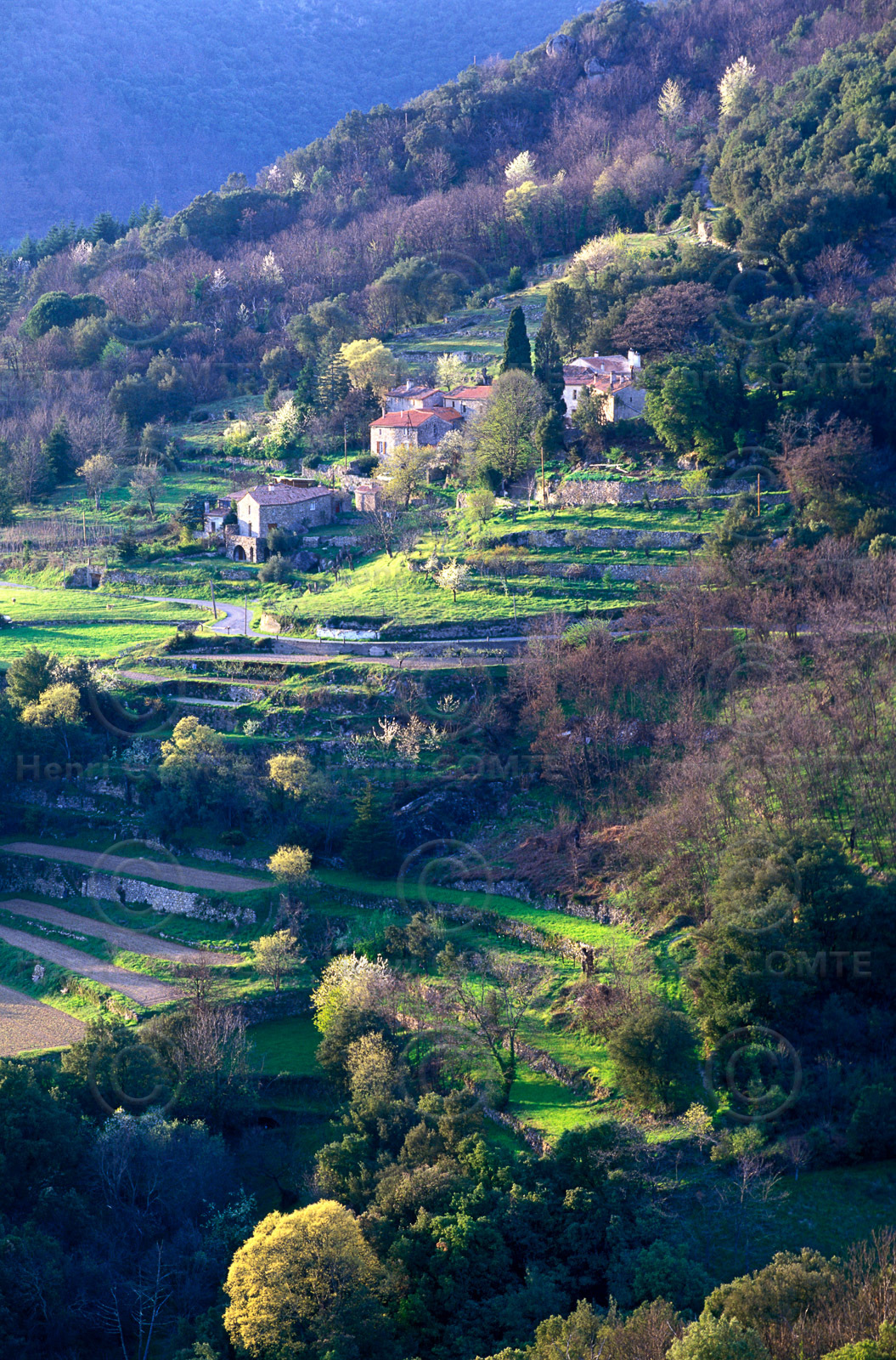 Cévennes