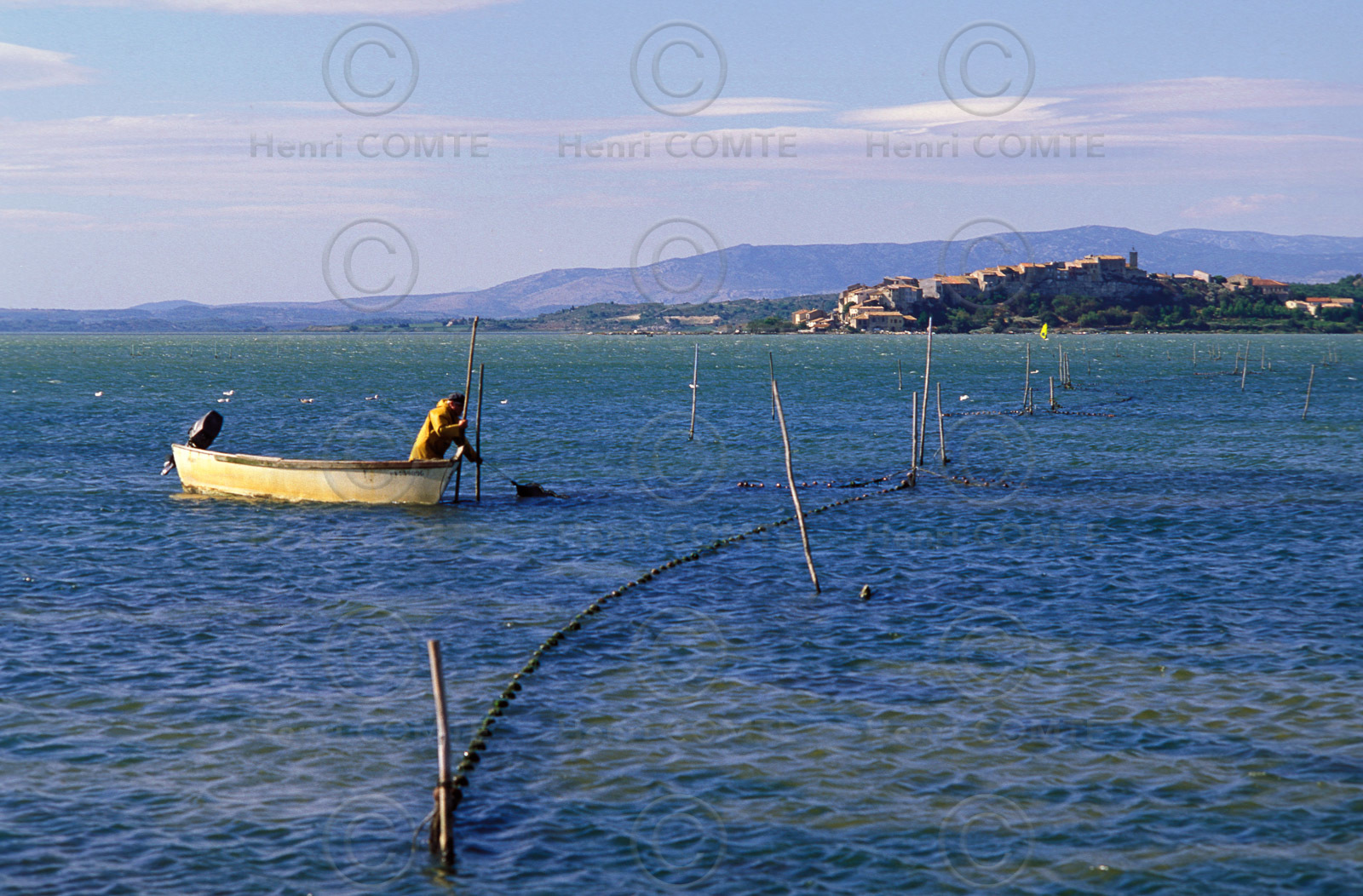 Etang de Bages