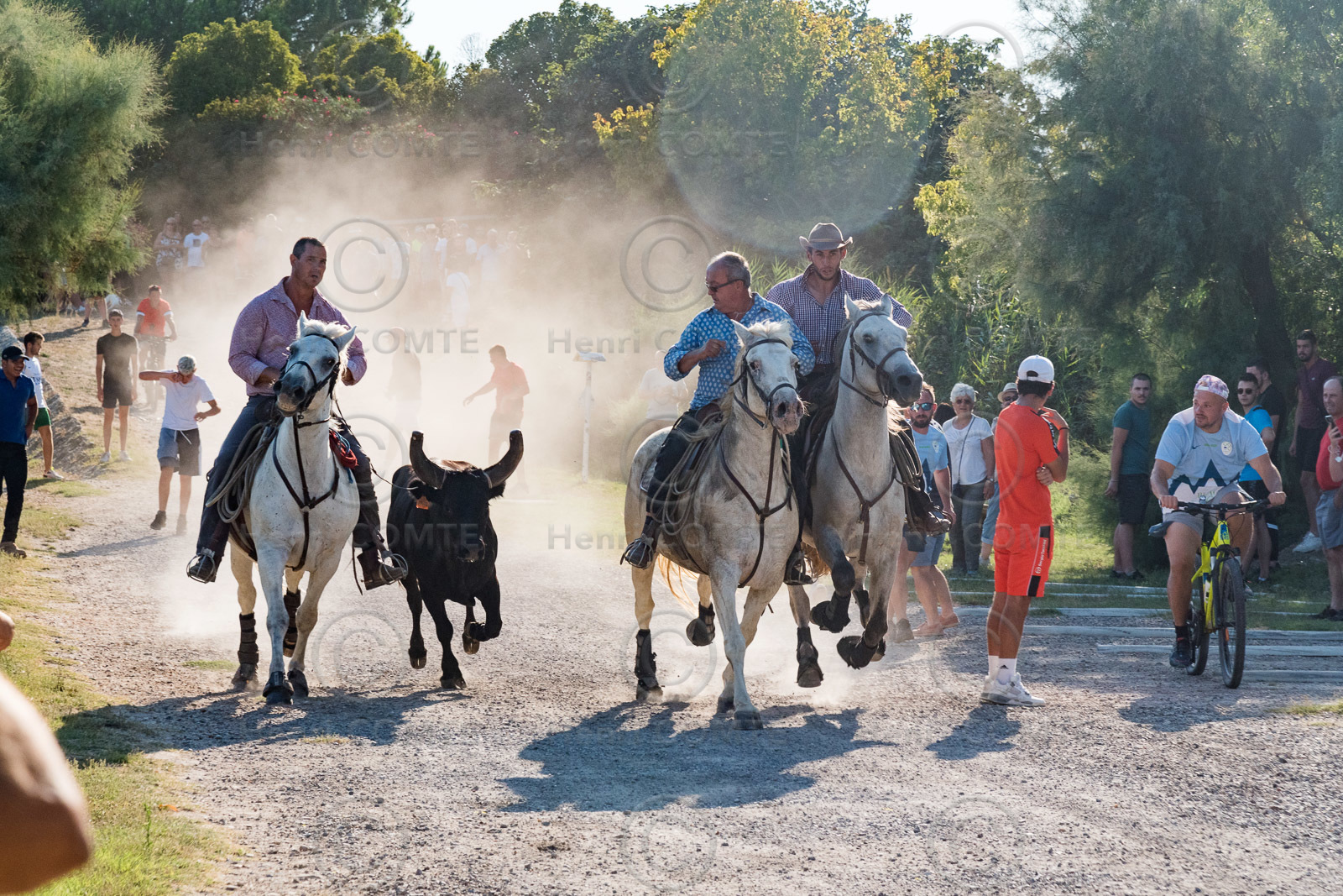 Fete votive à Gallician