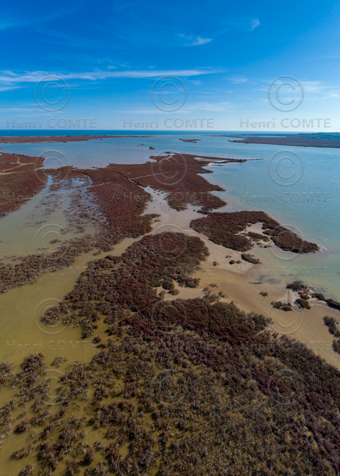 Etang de Pissevaches