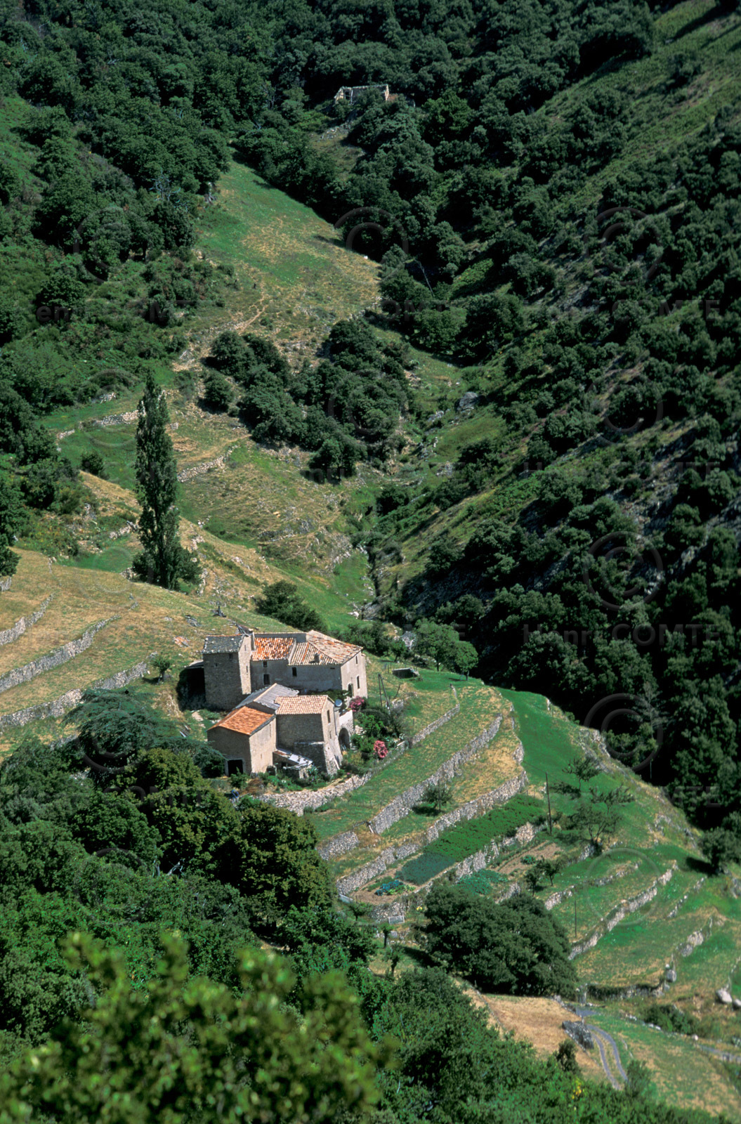 Cévennes
