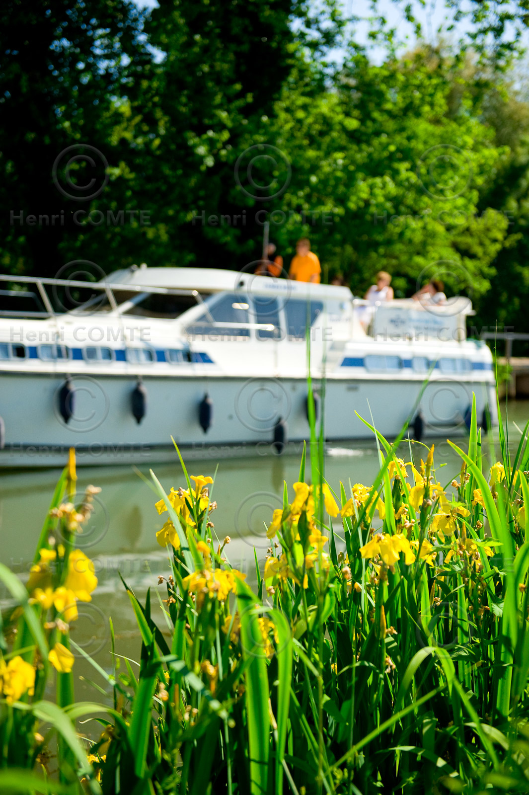 Le canal du Midi