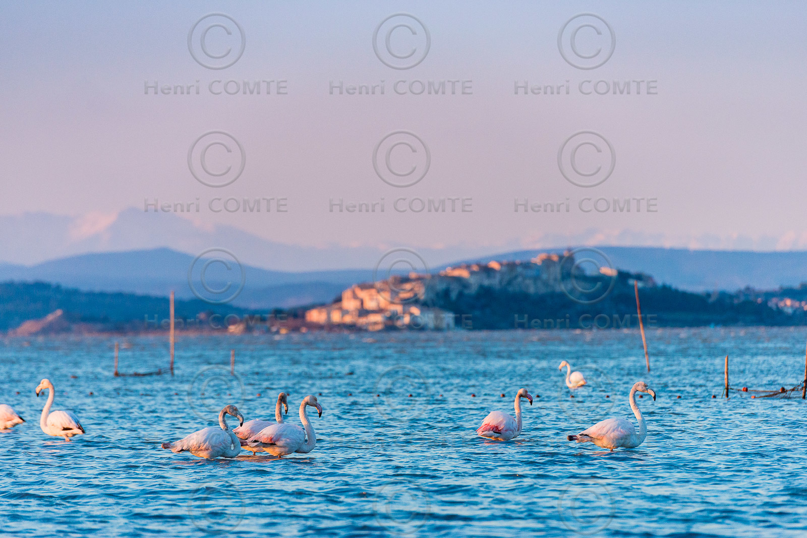 Etang de Bages