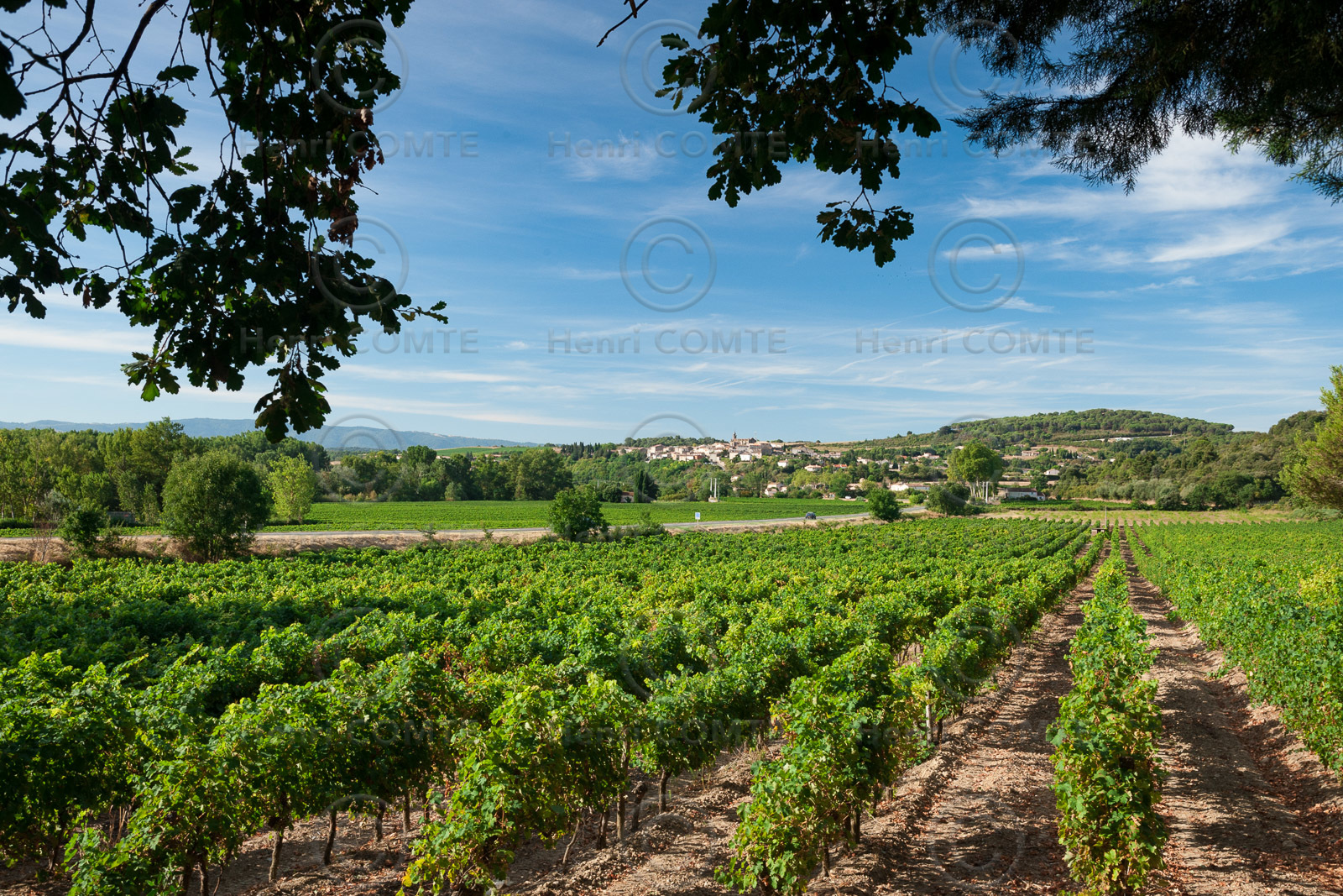 Vignoble de Malepére