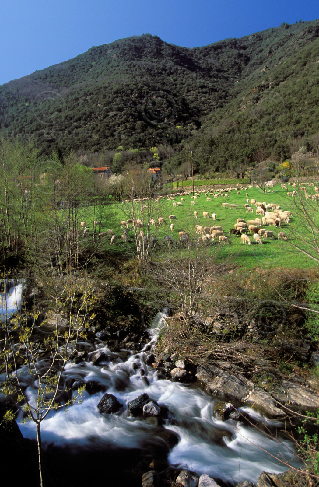L'Hérault