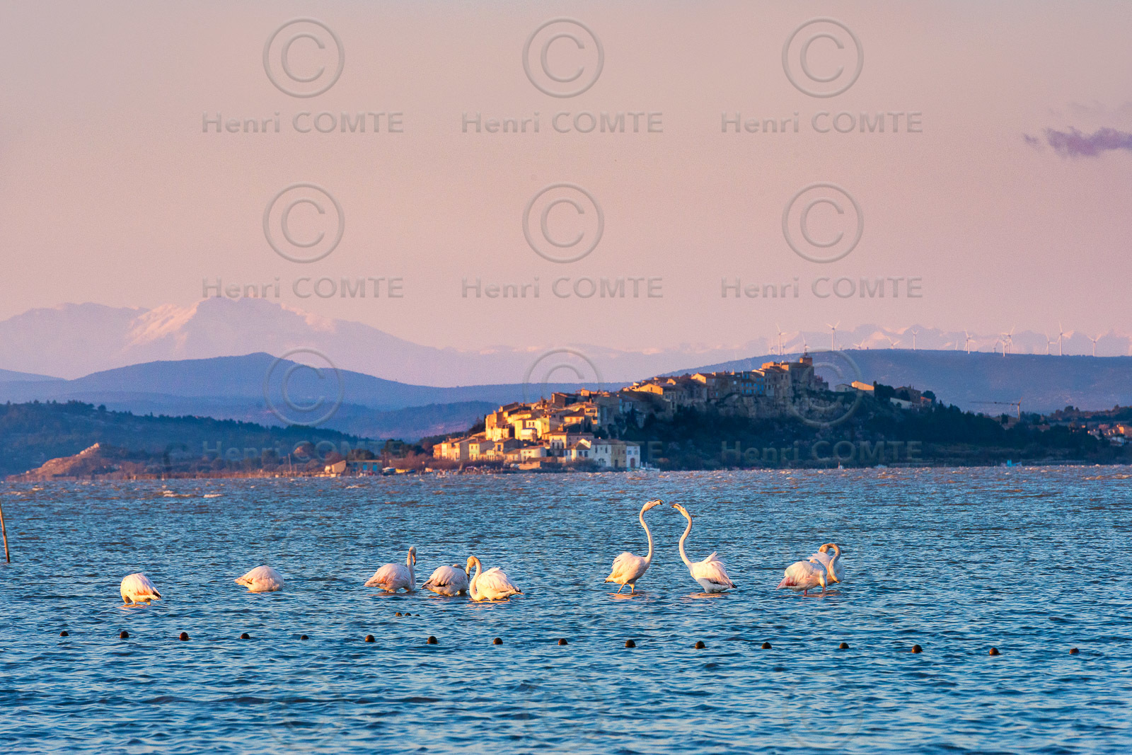 Etang de Bages