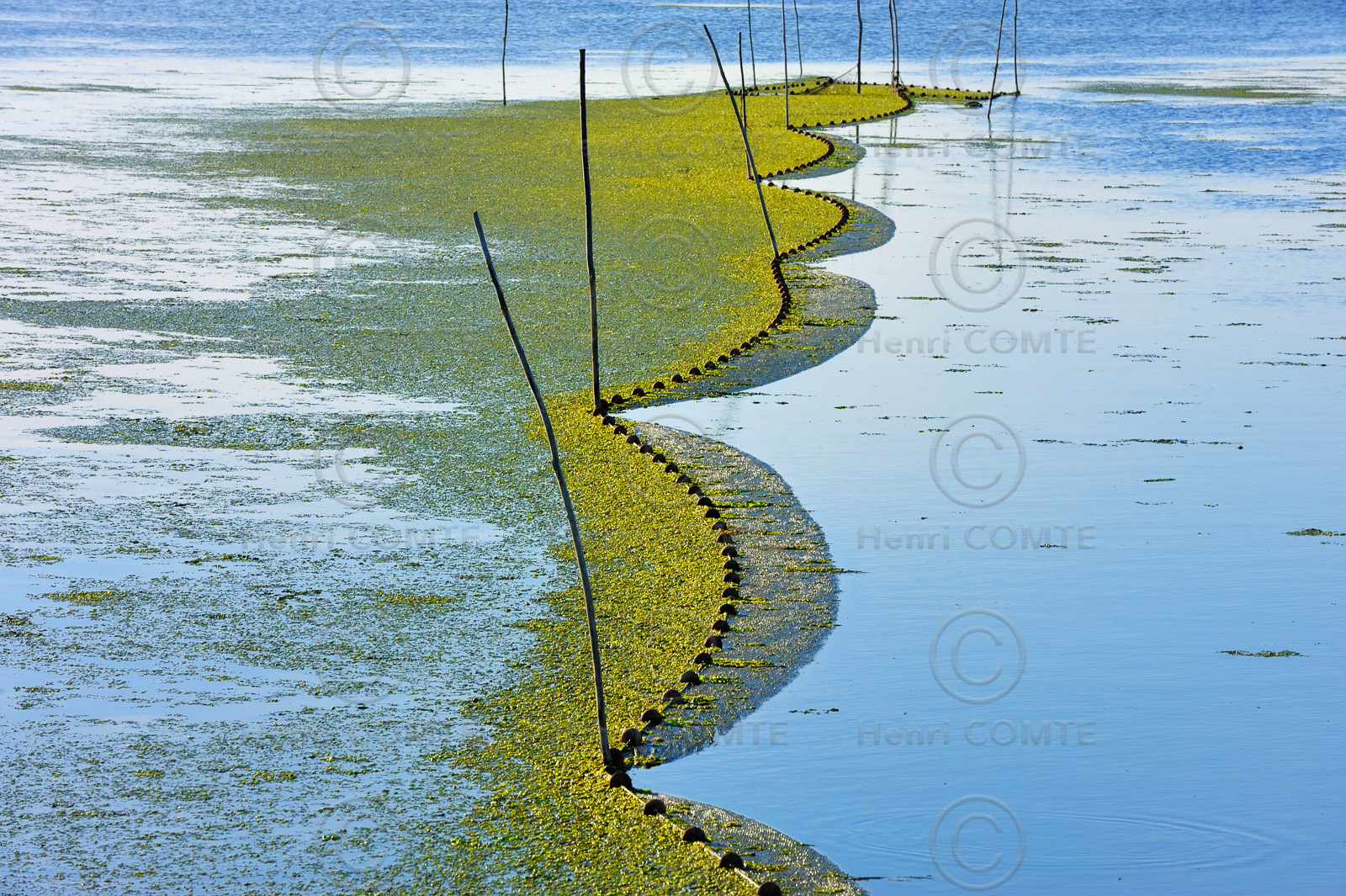 Etang et filets