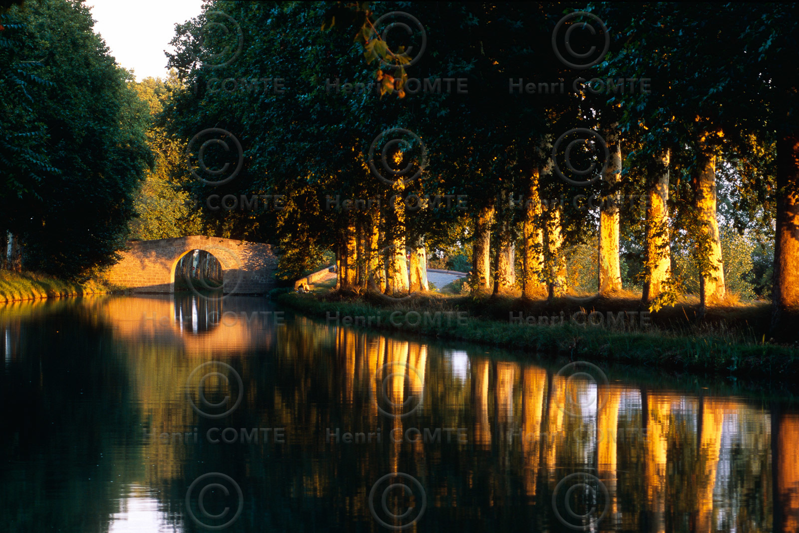 Le canal du Midi