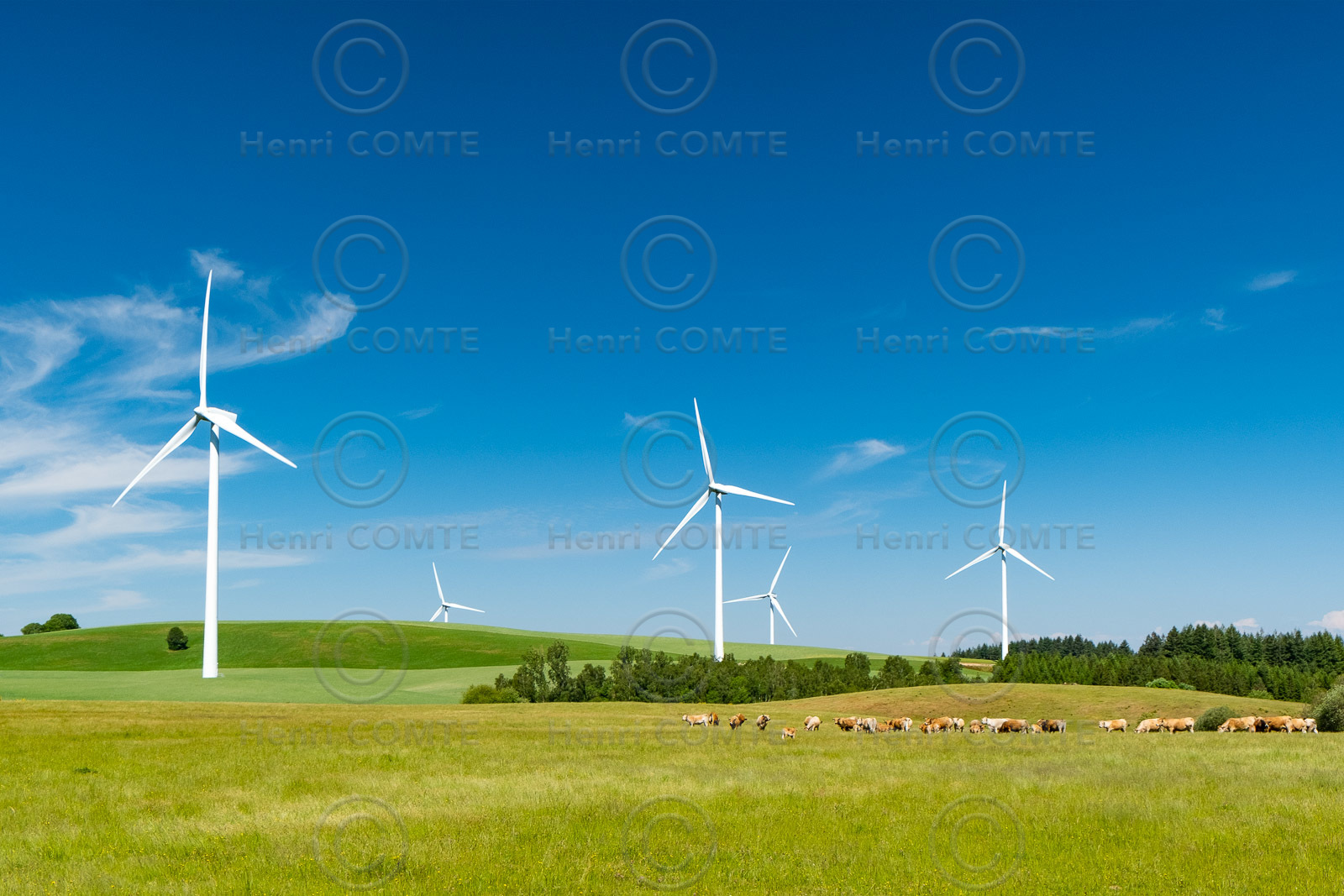 Eoliennes