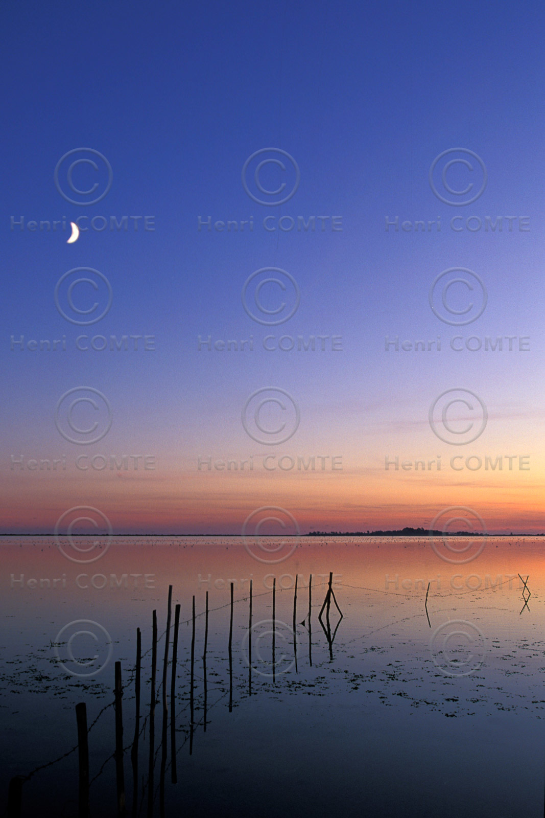 Etang de l'Arnel