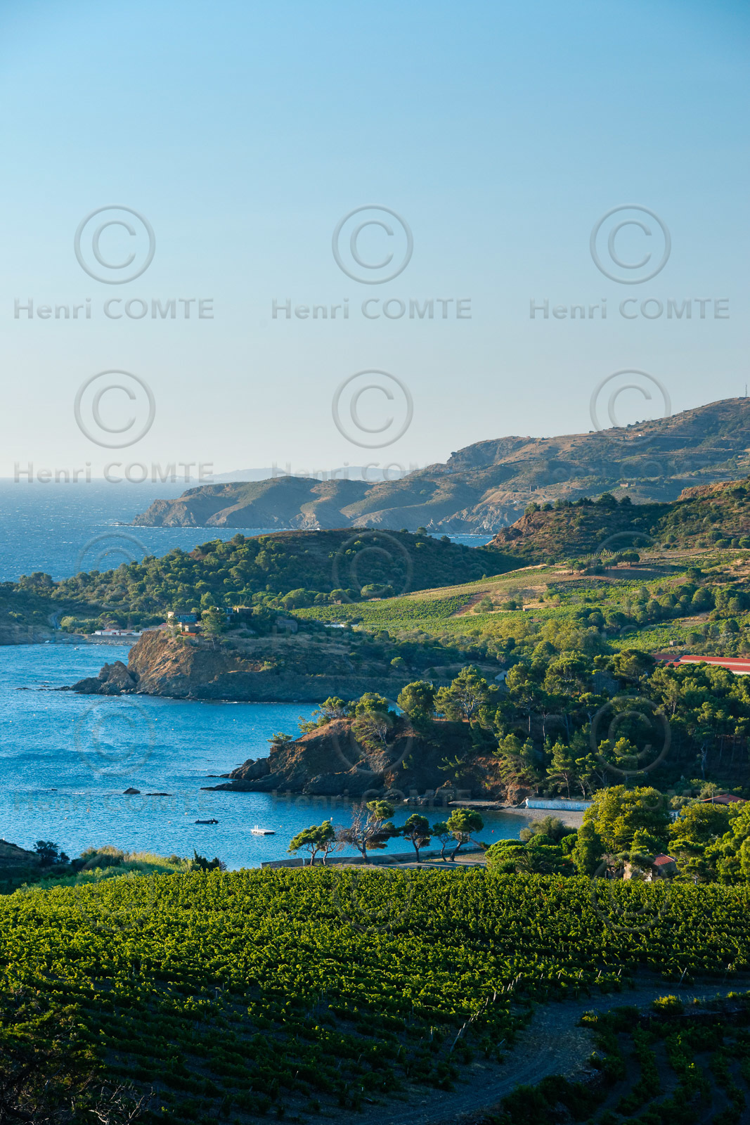 Anse de Paulilles