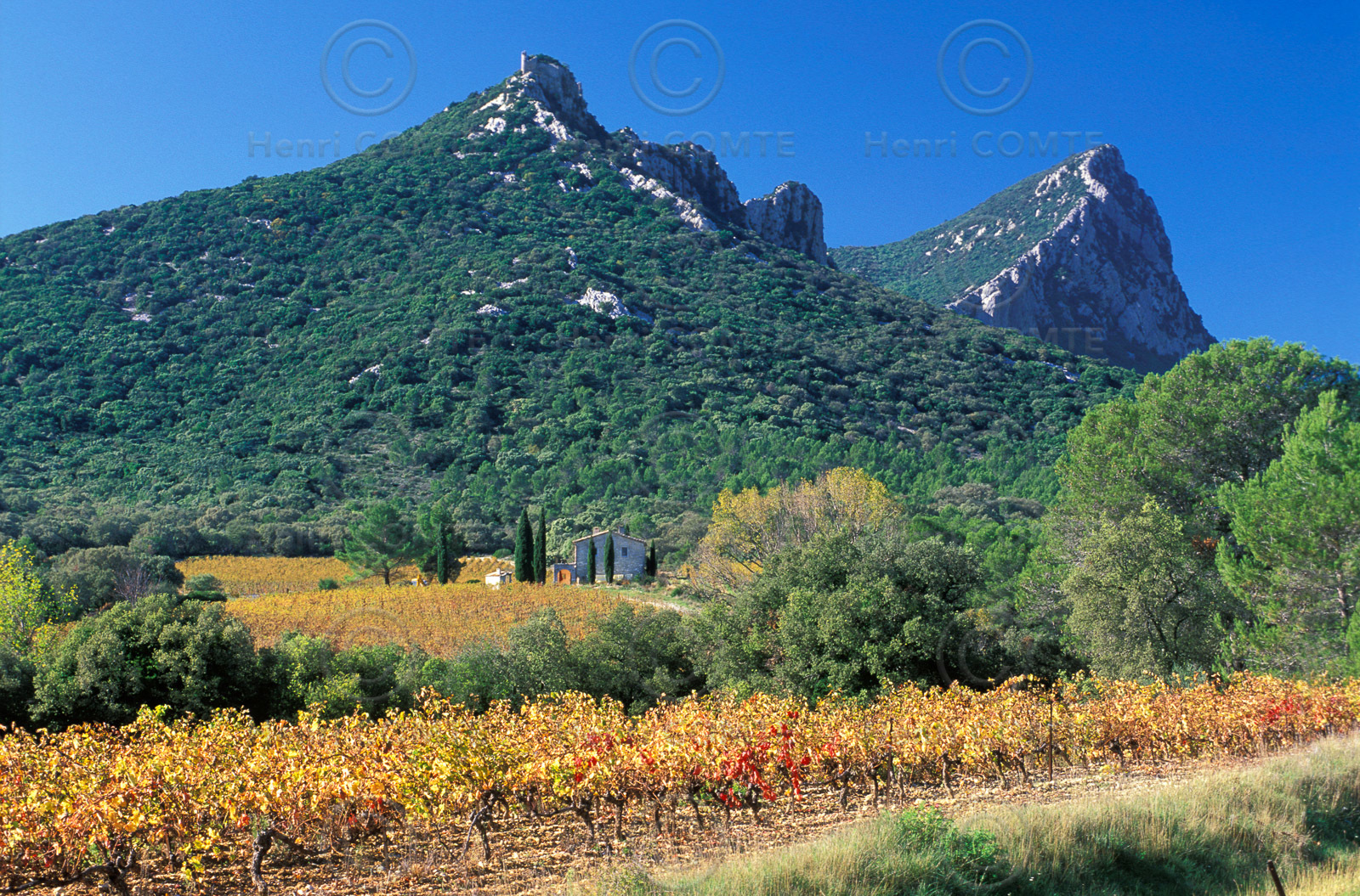 Pic Saint Loup