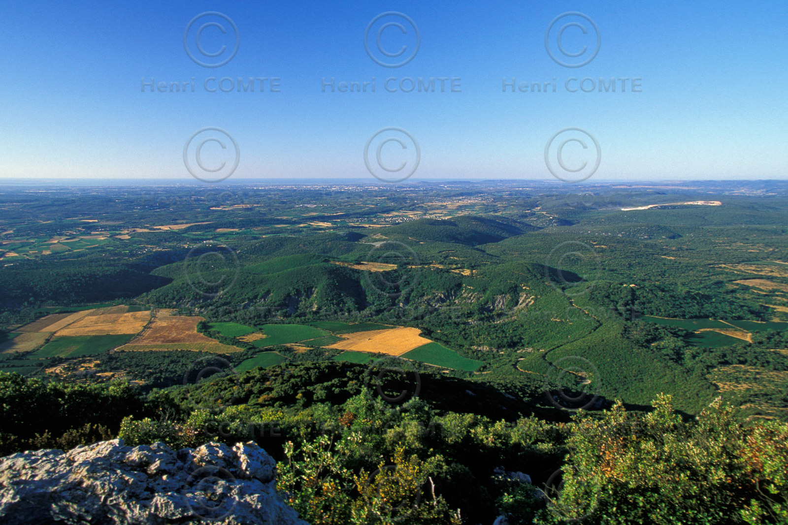 Pic Saint Loup