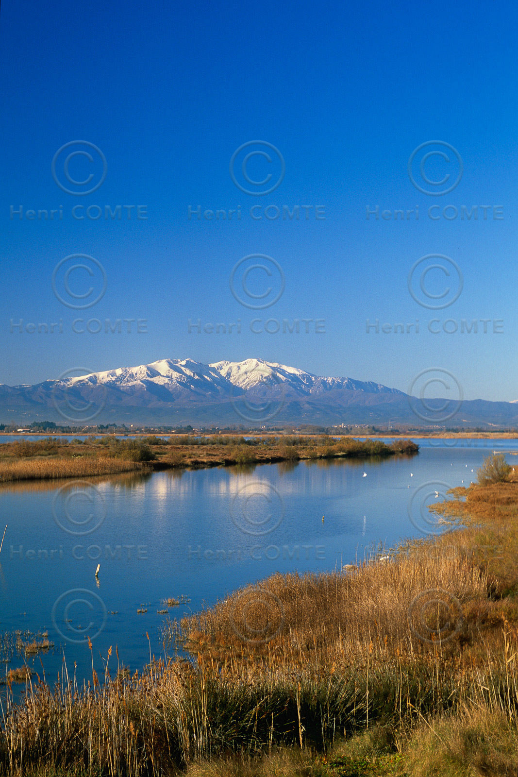 Etang de Canet