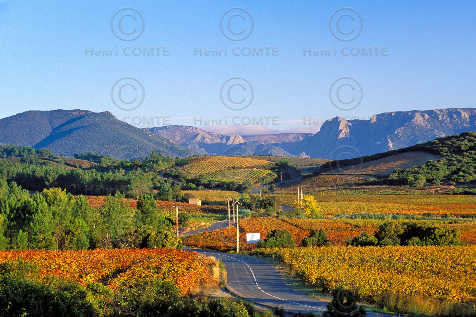 Vignoble Saint Chinian