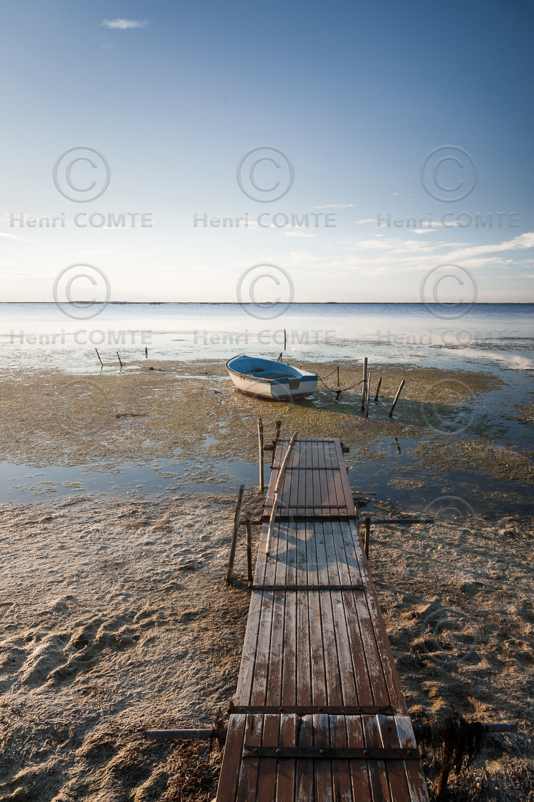 Bassin de Thau