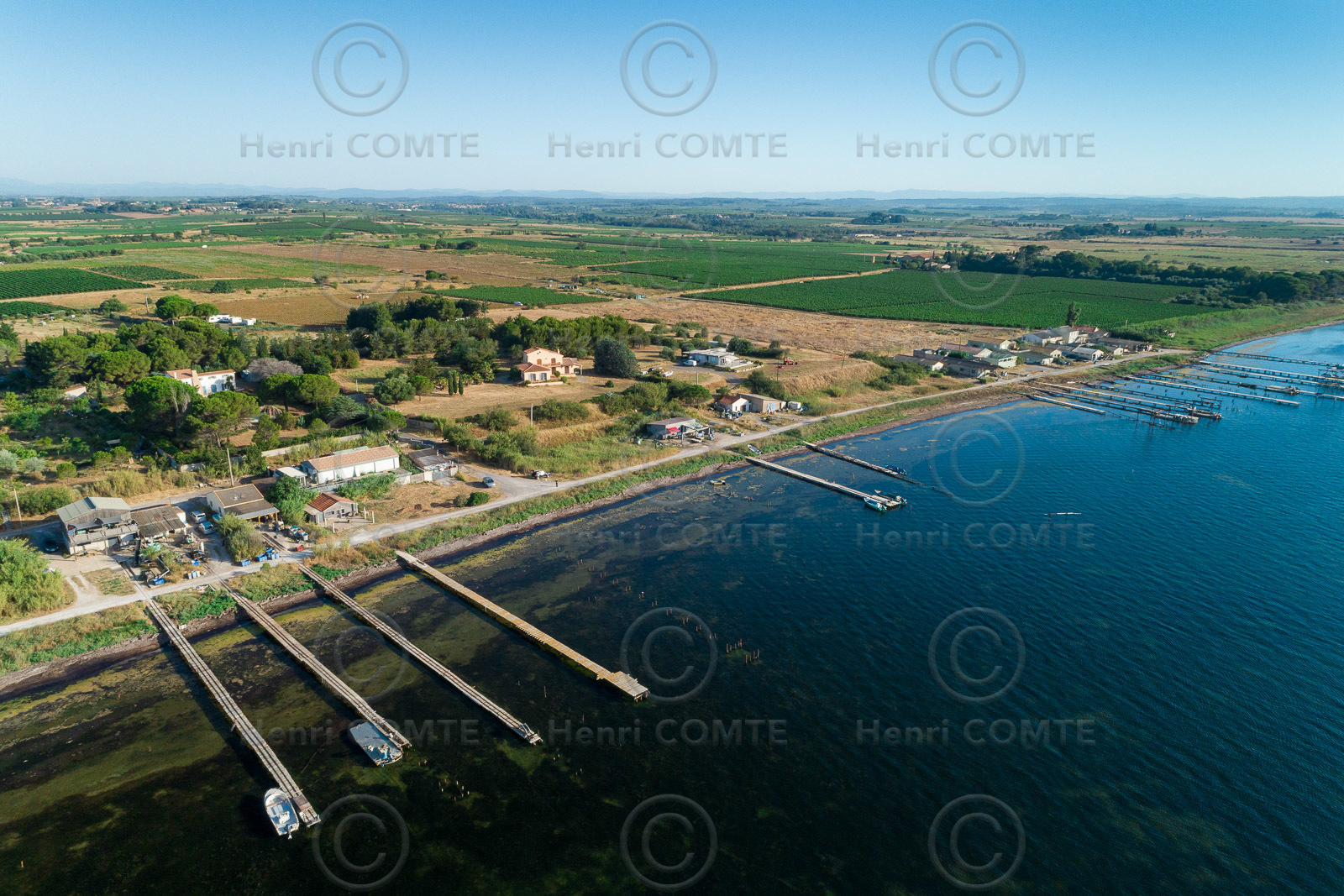 Etang de thau