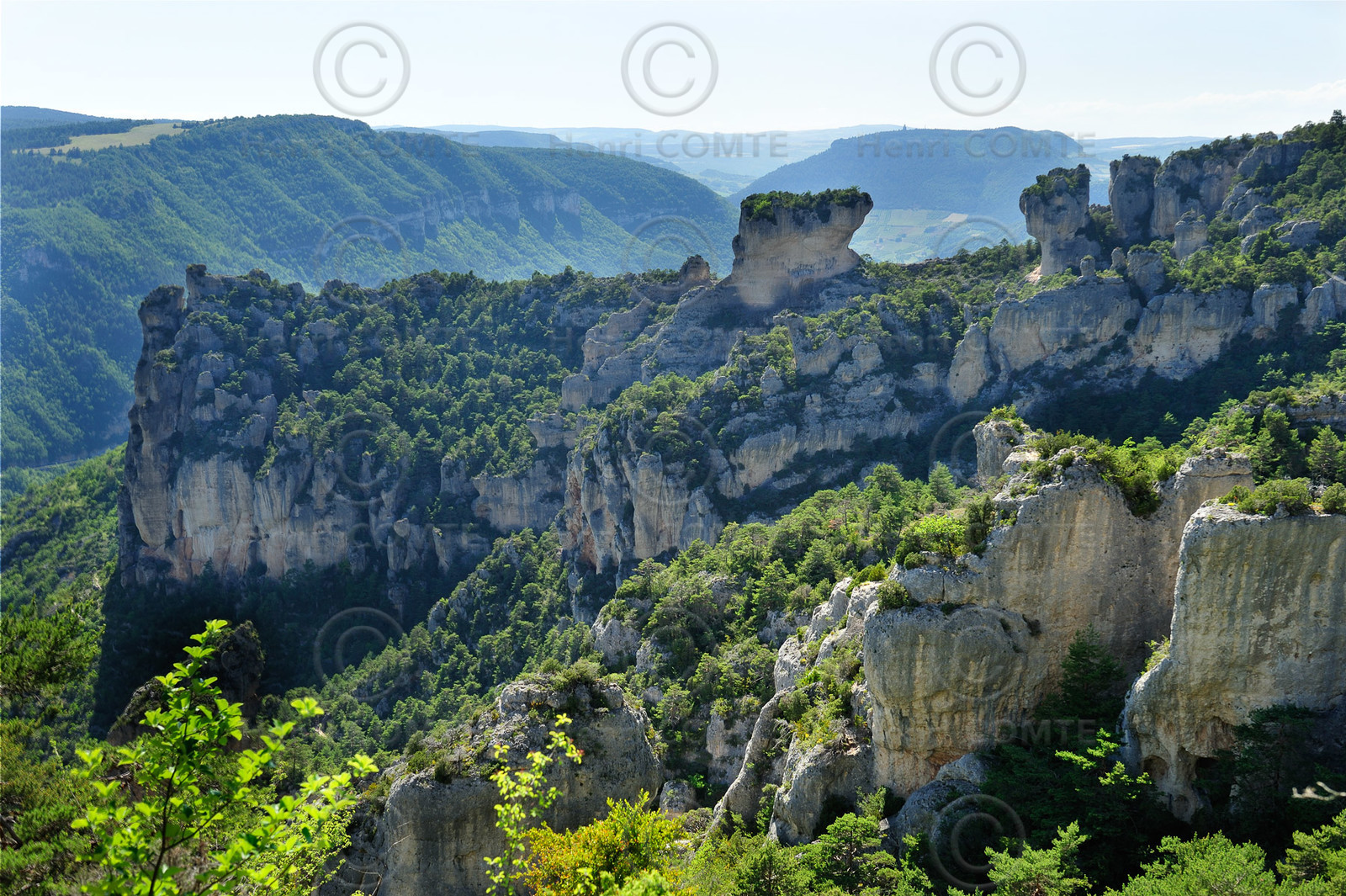 Gorges de la Jonte