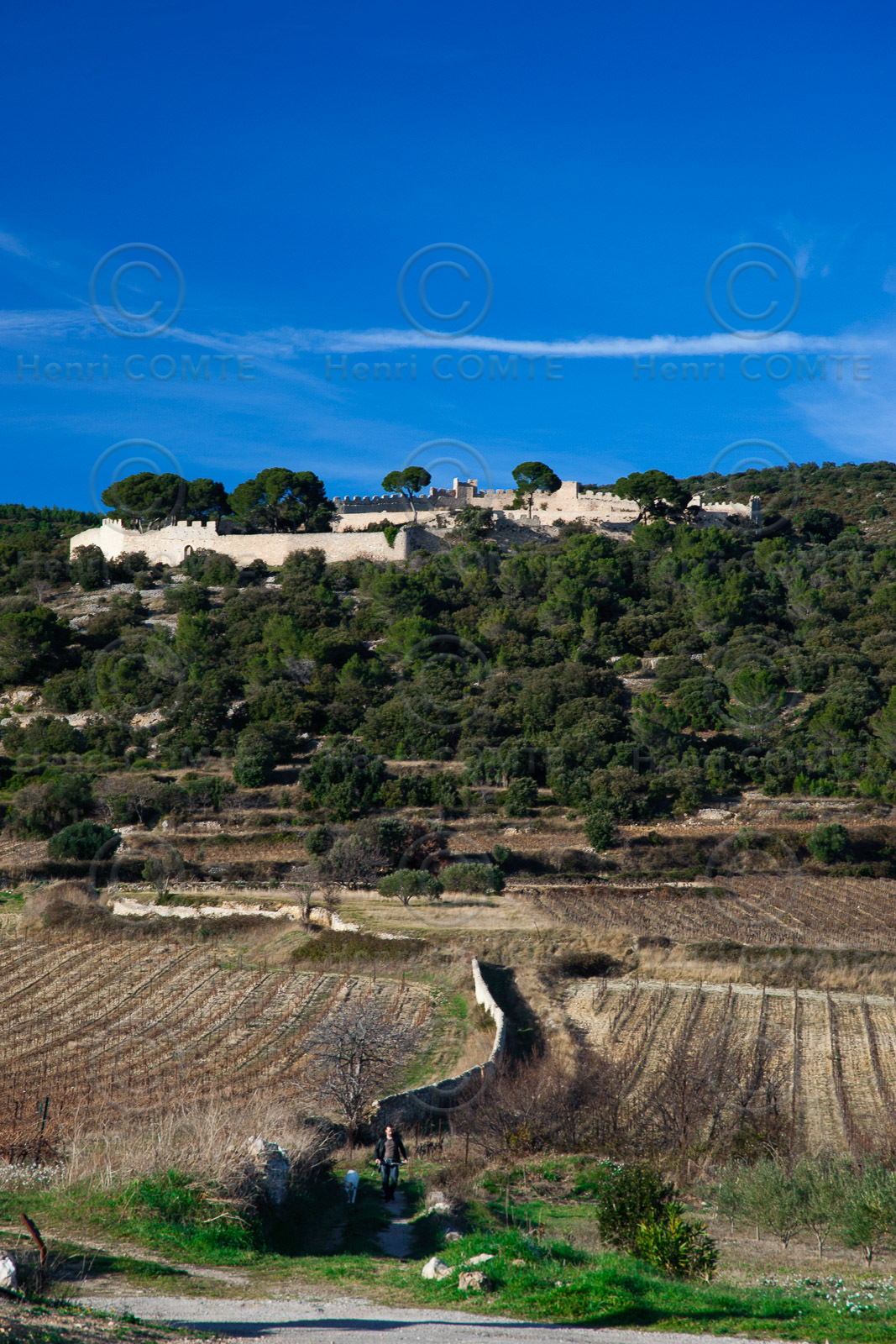 Montpeyroux