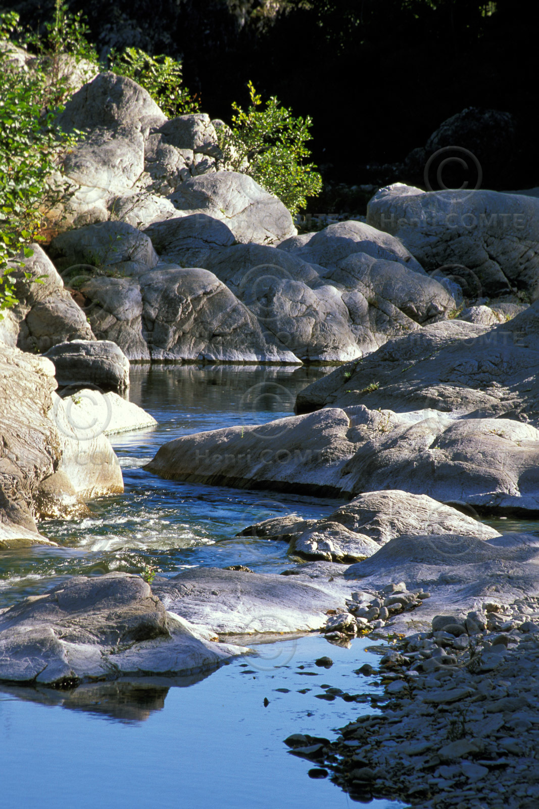 Torrent